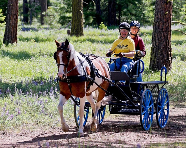 washington,state,horse,park,cle,elum